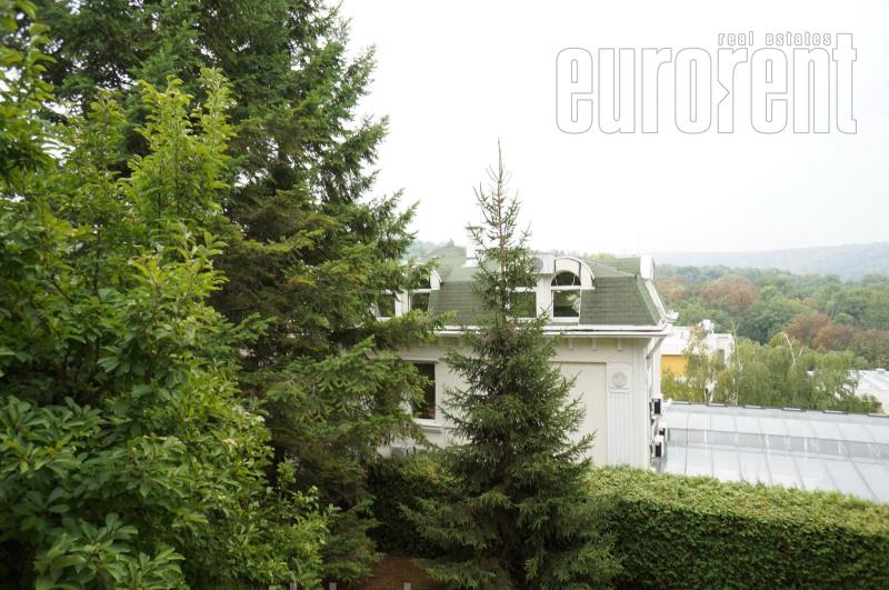 House for rent, SAVSKI VENAC, DEDINJE