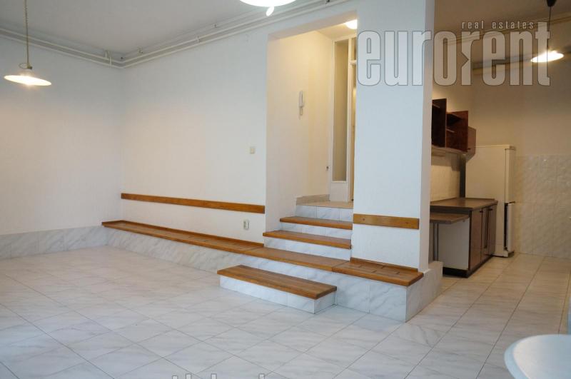 House for rent, SAVSKI VENAC, DEDINJE